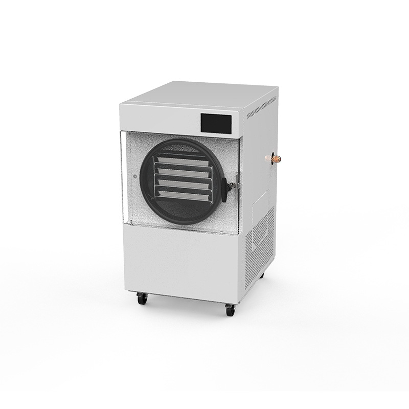 Food In Snacks - Liofilizzatore Sottovuoto Semi-Automatico per Uso Domestico