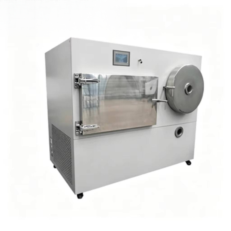 Liofilizzatore Sottovuoto per  - Food In Snacks recensione e prezzo